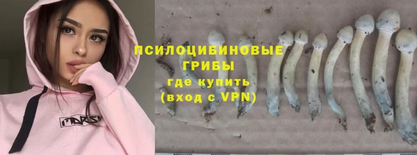эйфоретик Алексеевка