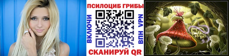 даркнет сайт  Жирновск  МЕГА   Псилоцибиновые грибы прущие грибы 